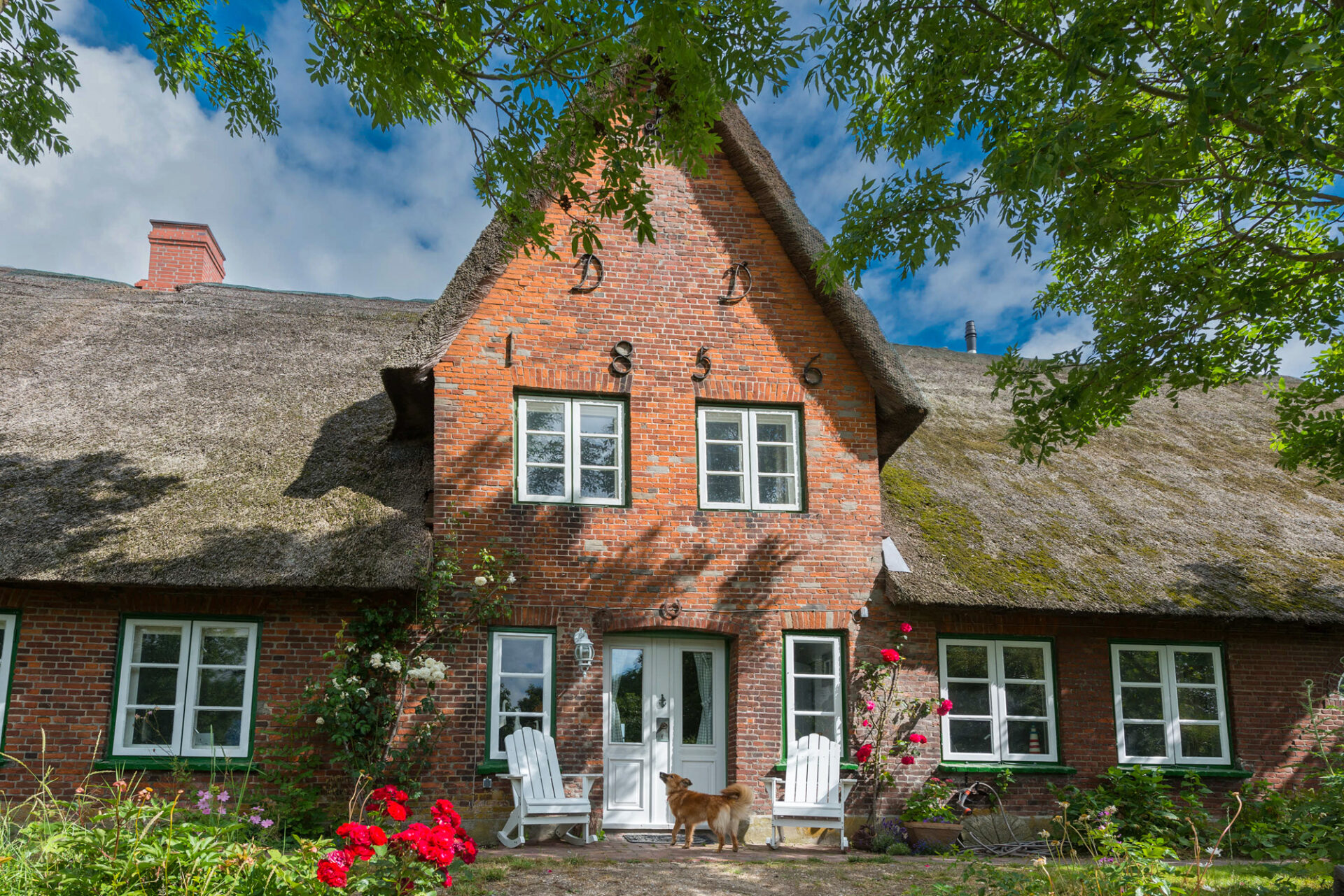 Ferienwohnungen auf Pellworm - Eingang Ferienwohnung Liliencron Foto Ferienwohnungen auf Pellworm - Eingang Ferienwohnung Liliencron