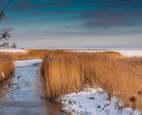Foto Winter auf Pellworm