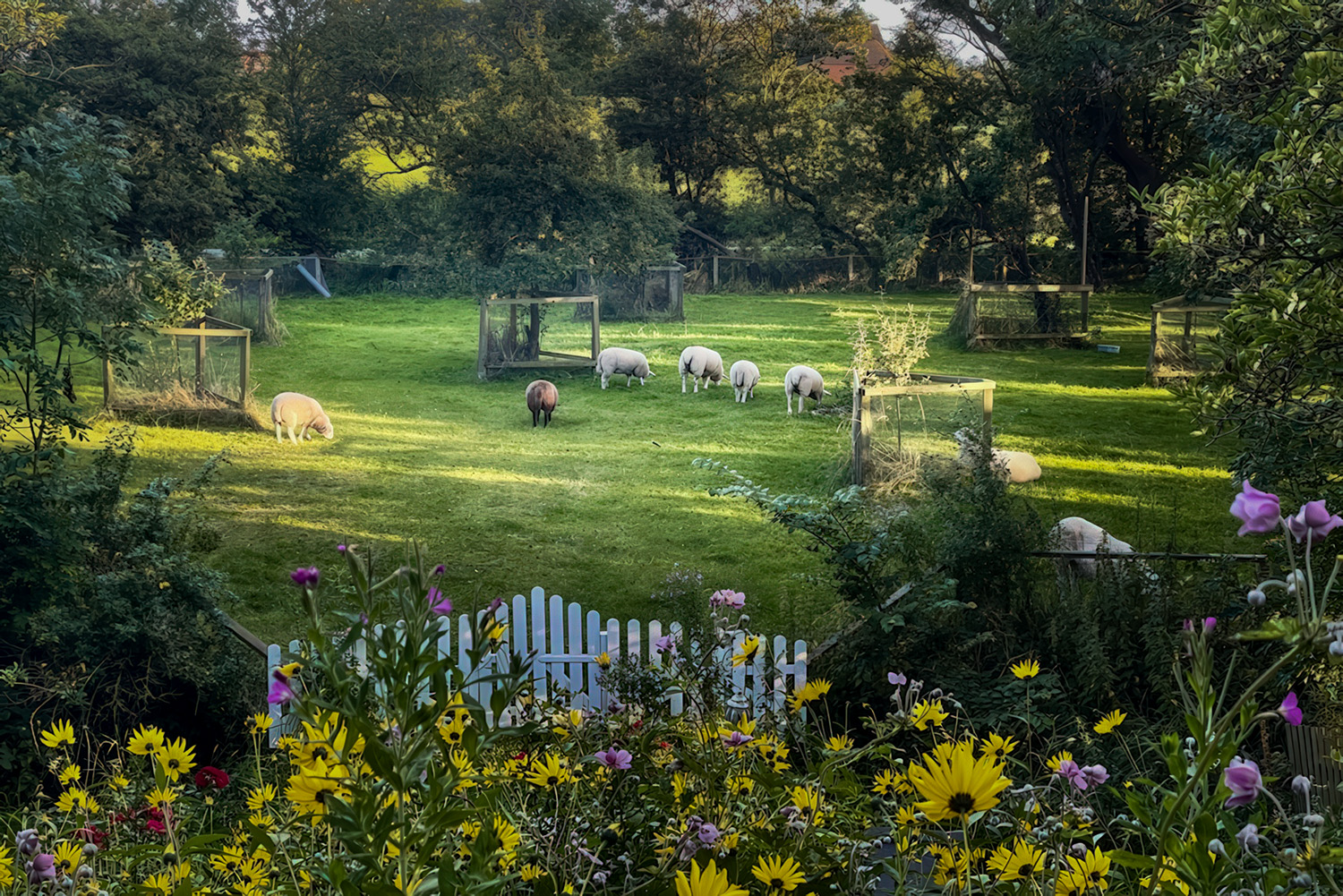 Blick auf den Bauerngarten am Silberhof Pellworm - Fast wie Urlaub auf dem Bauernhof