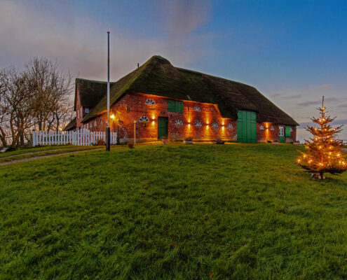 Weihnachten in einer Ferienwohnung auf dem Silberhof Pellworm Foto Silberhof Pellworm mit Weihnachtsbaum