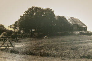 Historische Ansicht Silberhof Pellworm von der Einfahrt aus gesehen Historische Ansicht Silberhof Pellworm von der Einfahrt aus gesehen