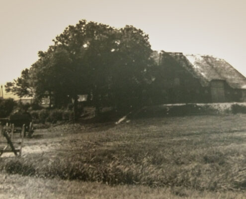 Historische Ansicht Silberhof Pellworm von der Einfahrt aus gesehen Historische Ansicht Silberhof Pellworm von der Einfahrt aus gesehen