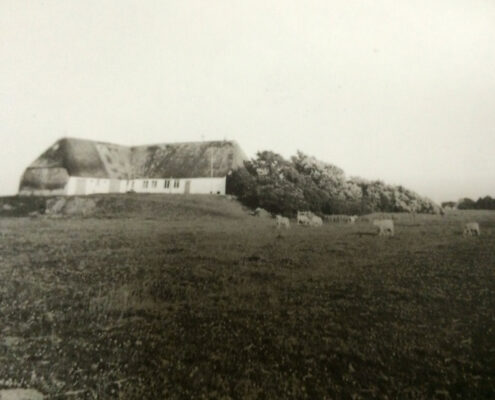Historische Ansicht Silberhof Pellworm auf der Warft Historische Ansicht Silberhof Pellworm auf der Warft