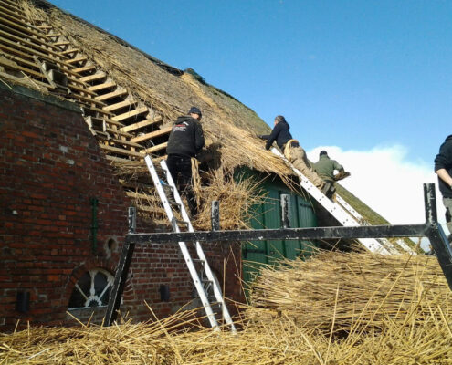 Sanierung Reetdach Silberhof Pellworm Foto Sanierung Reetdach Silberhof Pellworm
