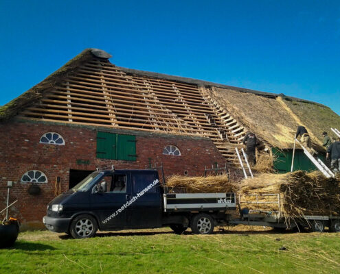 Sanierung Reetdach Silberhof Pellworm Foto Sanierung Reetdach Silberhof Pellworm