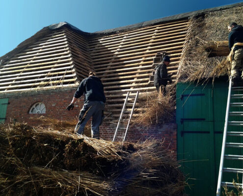 Sanierung Reetdach Silberhof Pellworm Foto Sanierung Reetdach Silberhof Pellworm