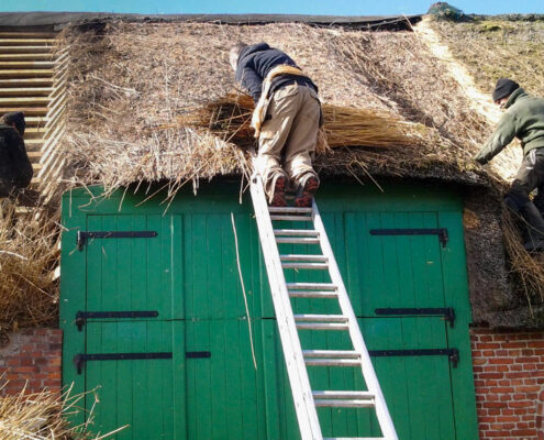 Sanierung Reetdach Silberhof Pellworm Foto Sanierung Reetdach Silberhof Pellworm