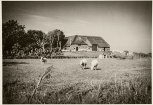 Historische Ansicht Silberhof Pellworm auf der Warft