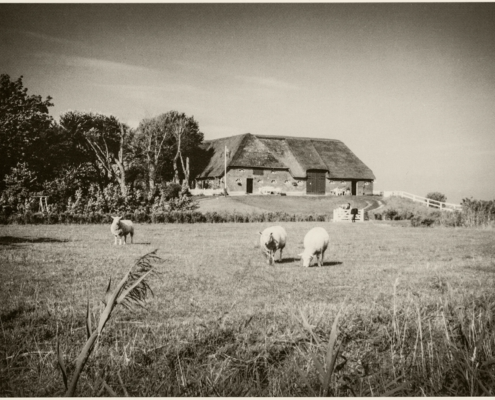 Historische Ansicht Silberhof Pellworm auf der Warft